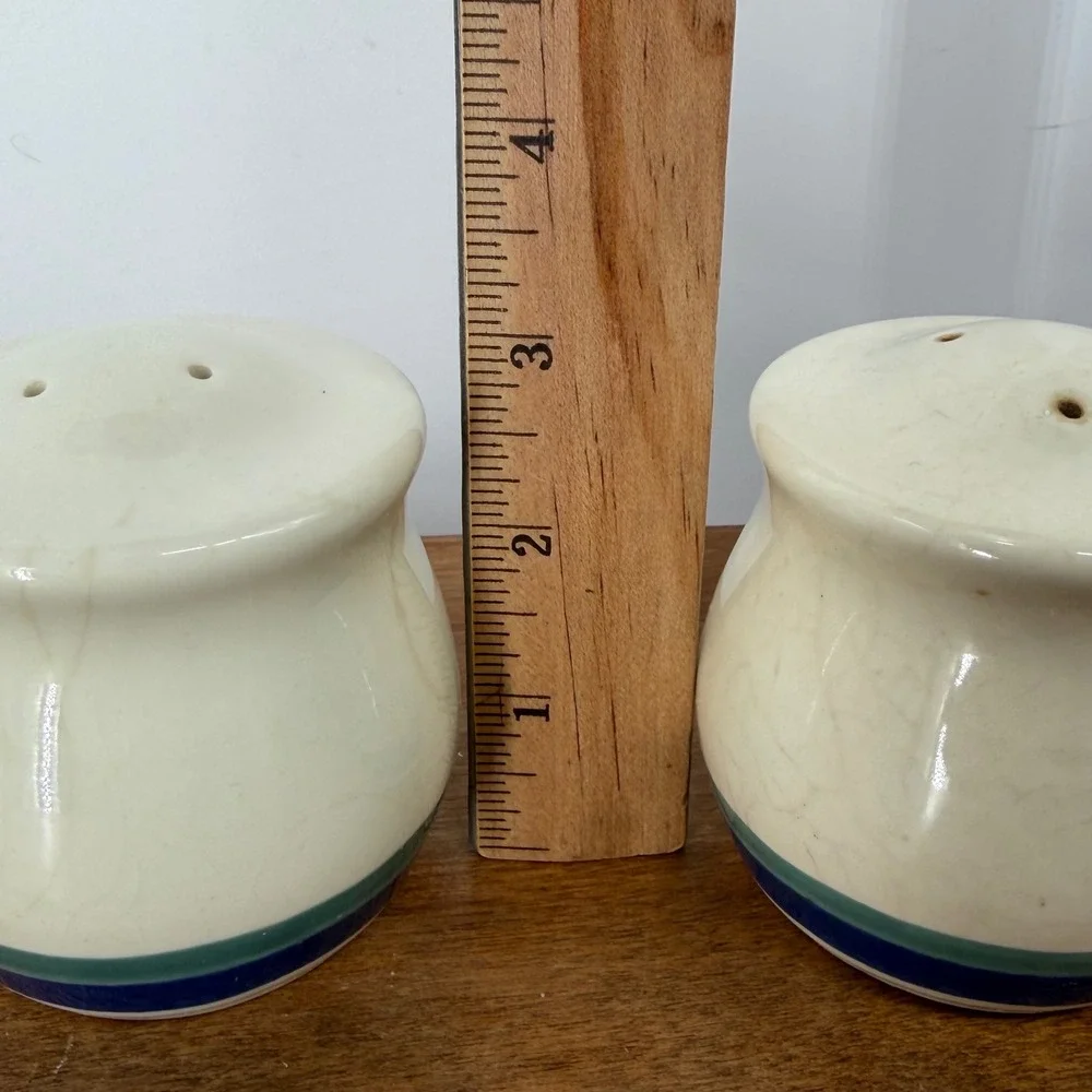 Pfaltzgraff Northwinds‎ Salt Pepper Shakers VTG 90s Blue Green Farmhouse Cottage